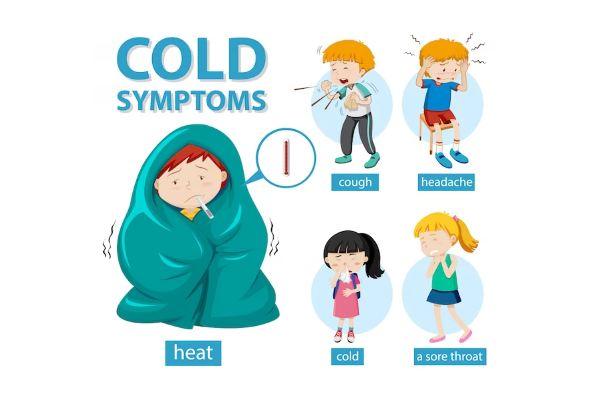 What is the common cold, its symptoms, and causes